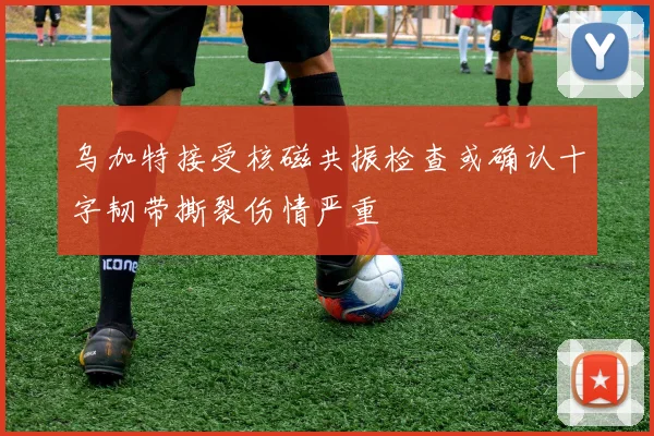 乌加特接受核磁共振检查或确认十字韧带撕裂伤情严重